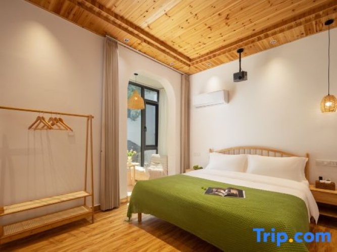 Standard Double room with balcony and with mountain view