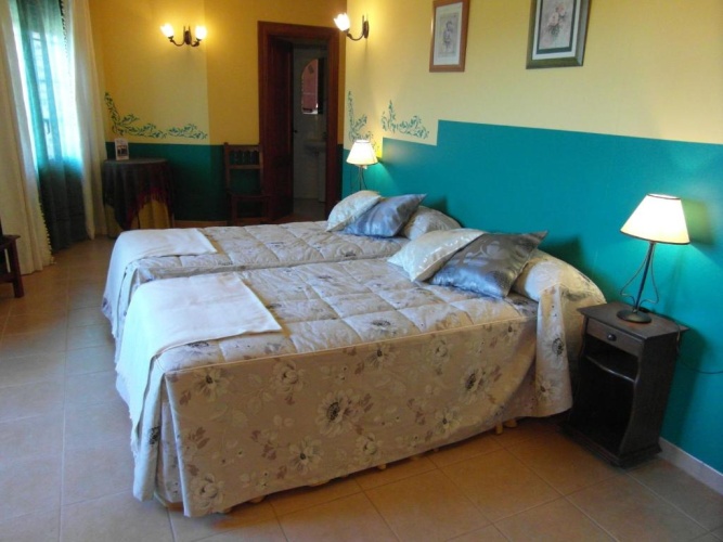 Standard Twin room