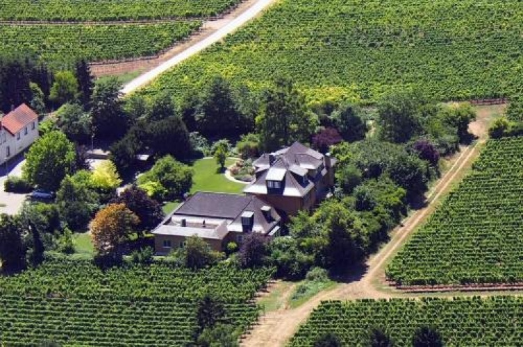 Hotel Villa Spiegelberg