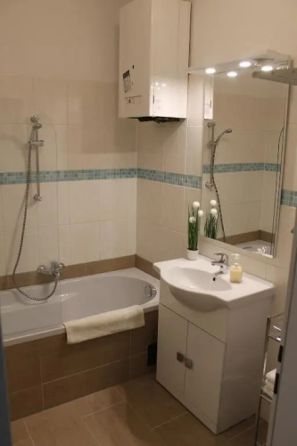 Urban-Style Apartment