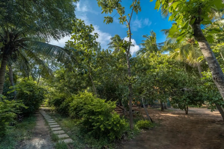 Aashikha Farm House