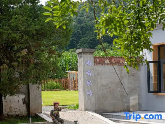Beijing Xiaoxixuan Elementary School Homestay