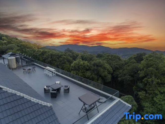 Daila Hotel (Puer Lancang Jingmaishan Ancient Tea Forest Scenic Area)