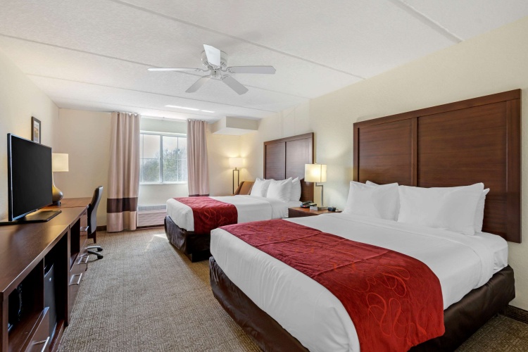 Standard Quadruple room