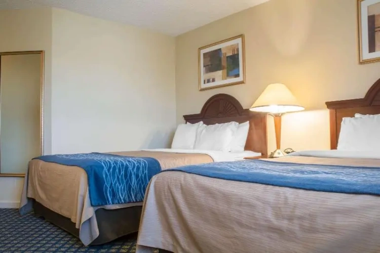 Standard Quintuple room