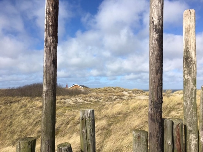 Pet-friendly Texel Escape