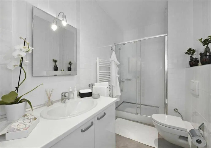 Nisque Properties