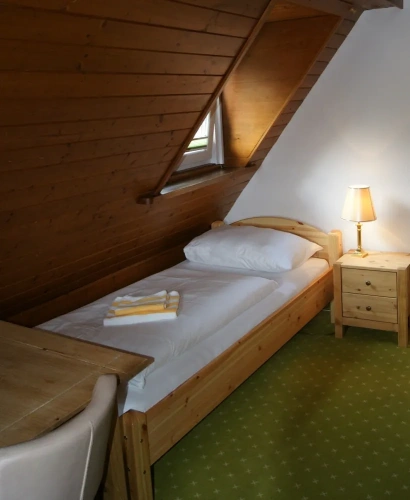 Standard Single room with mountain view