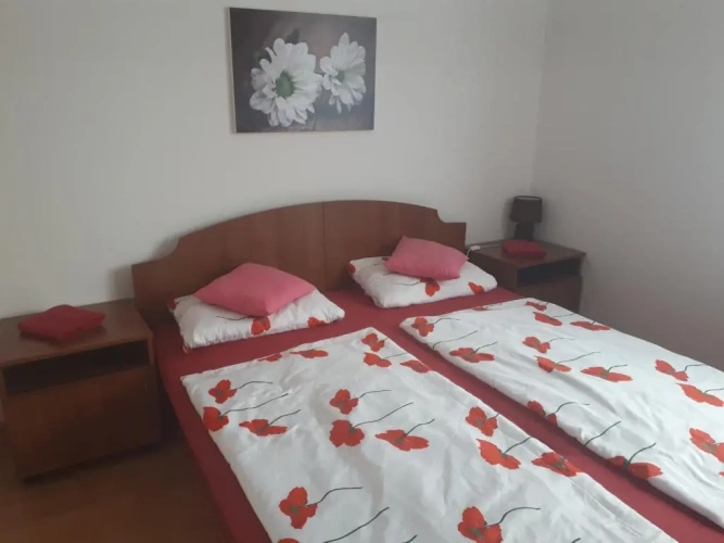 Deluxe Double room with balcony and with view