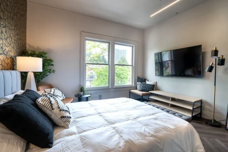 Luxury Apartment