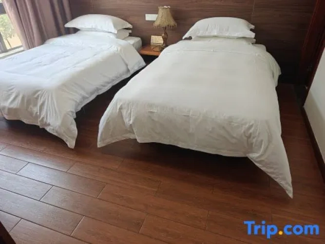 Standard Double room with courtyard view