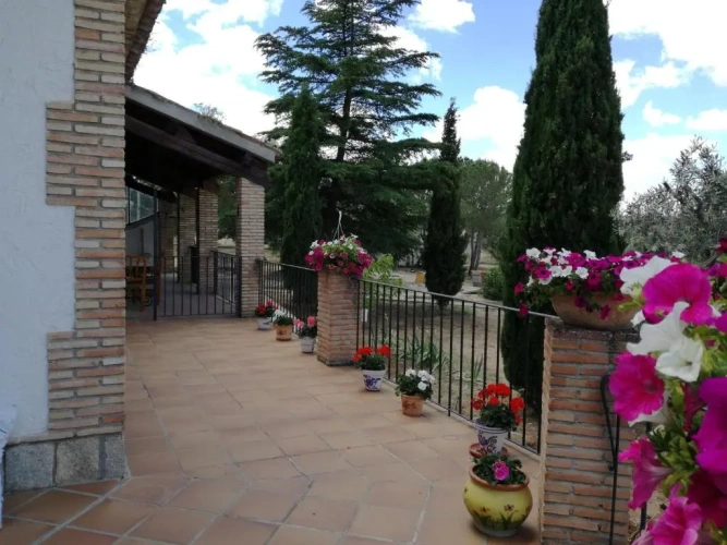 Cottage
