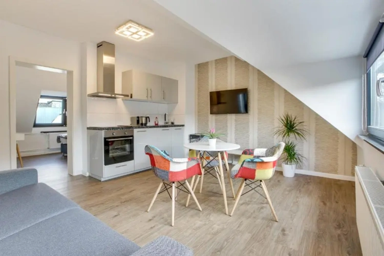 1 Bedroom Apartment
