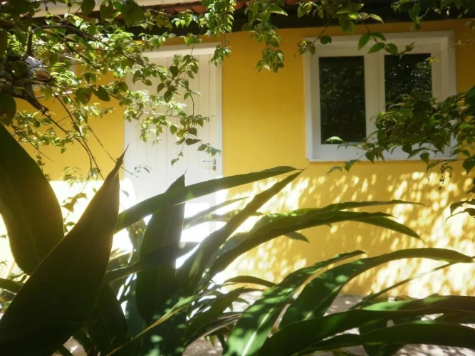 Standard Double room with garden view