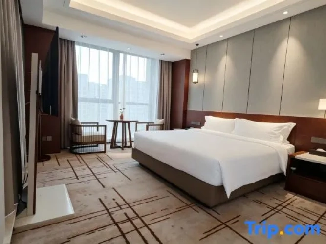 Executive Double Suite