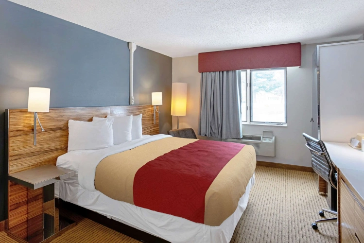 Standard Double room