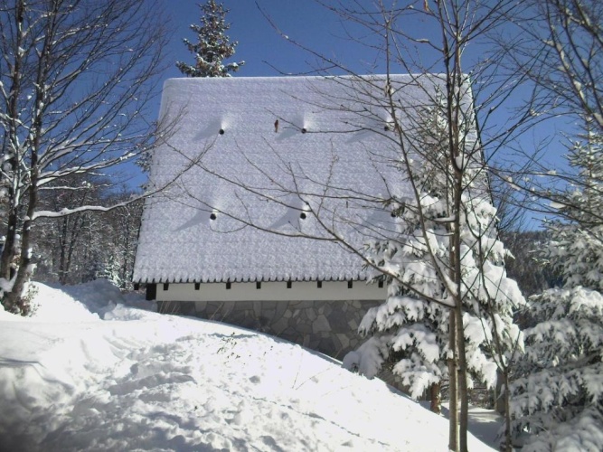 1 Bedroom Cottage