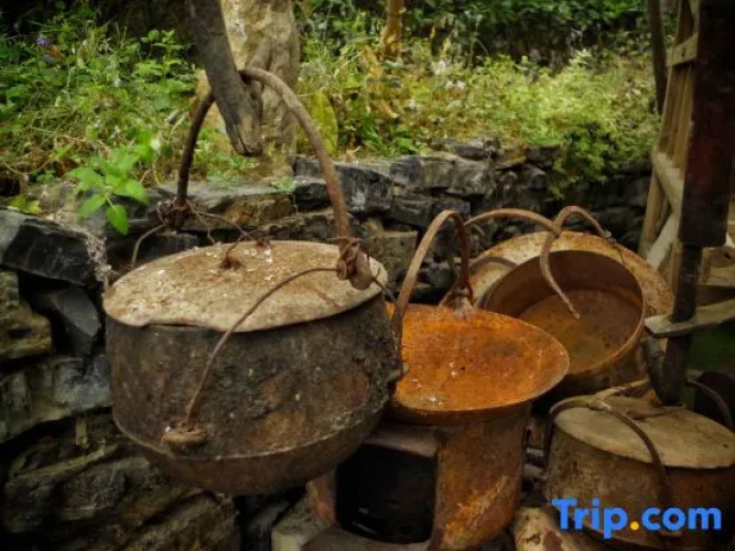 Selenium Tea Ecological Garden