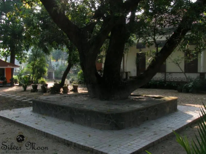 Silvermoon Heritage Homestay