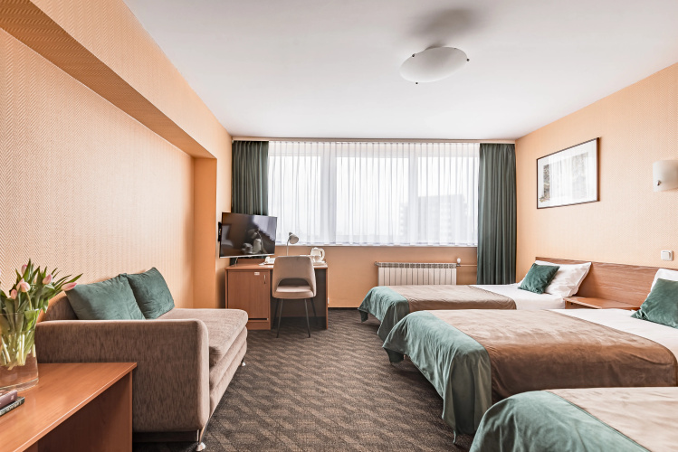 Hotel Zemaites
