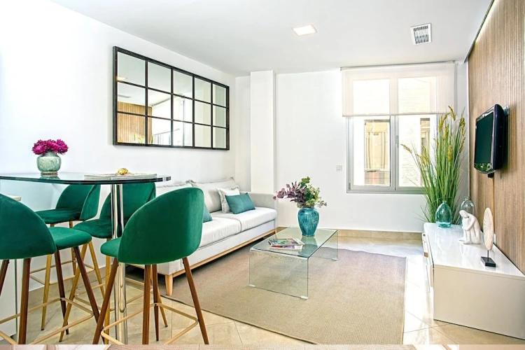 1 Bedroom Apartment