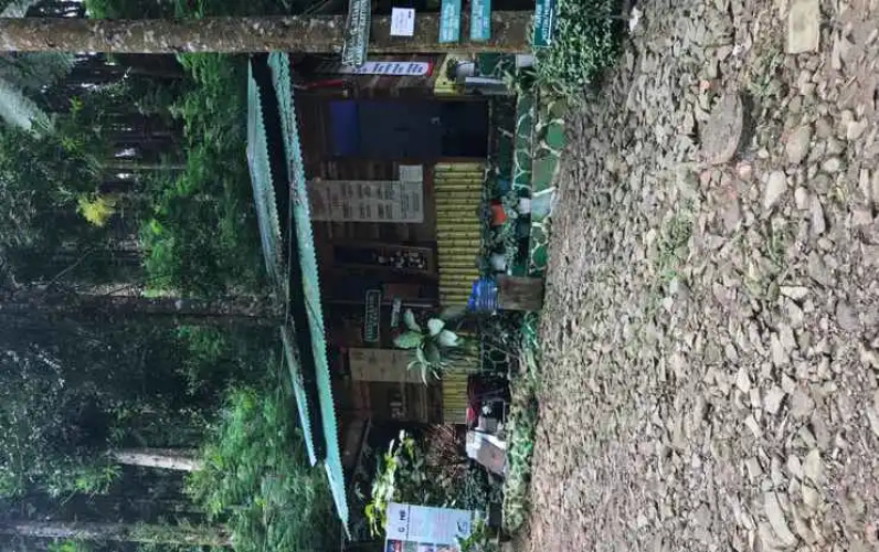 Curug Batu Gede Cisuren Camping Ground