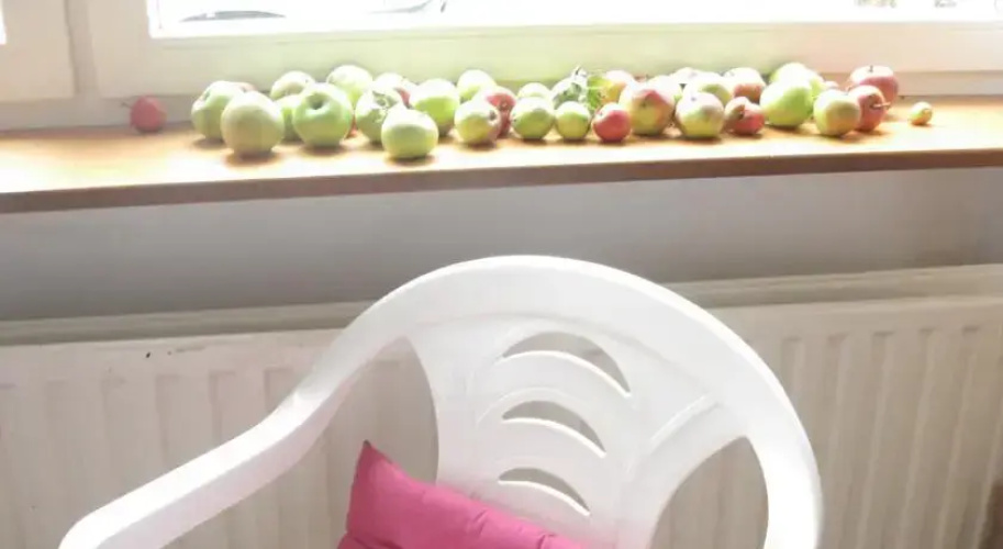 Garden Apartment