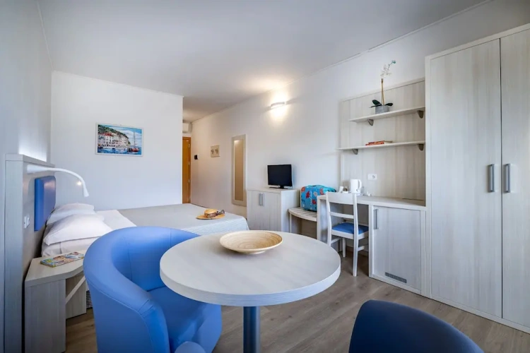 1 Bedroom Superior Studio with park view