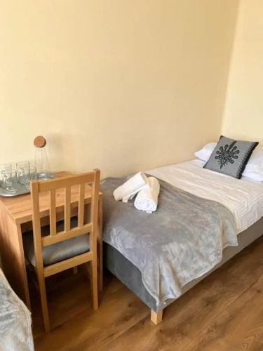 Standard Double room with mountain view