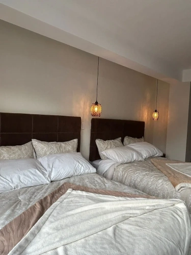 Standard Twin room with balcony and with mountain view