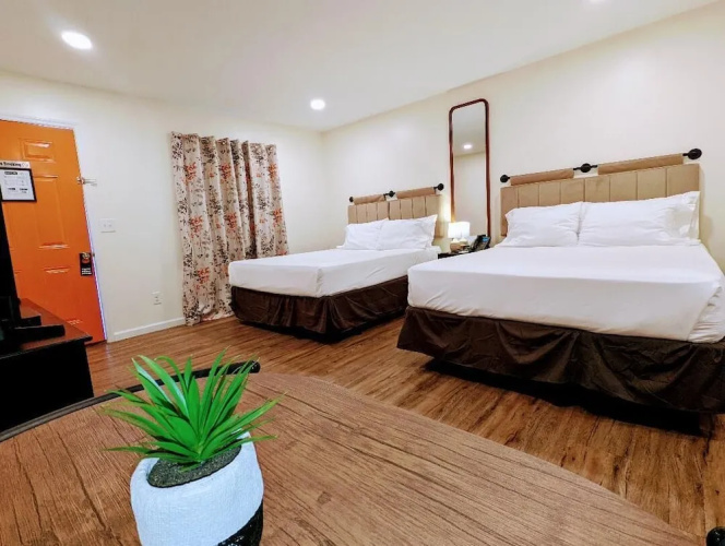 The Honey Bee Motel
