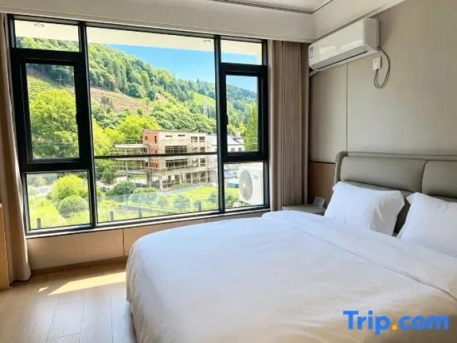 Standard Double room with view