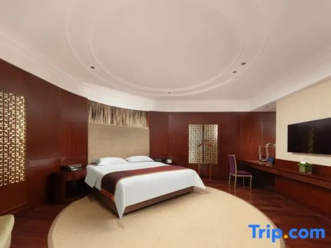 Executive Double Suite with city view