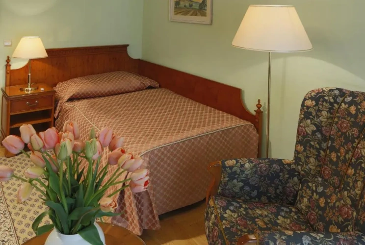 Standard Double room with balcony and with view