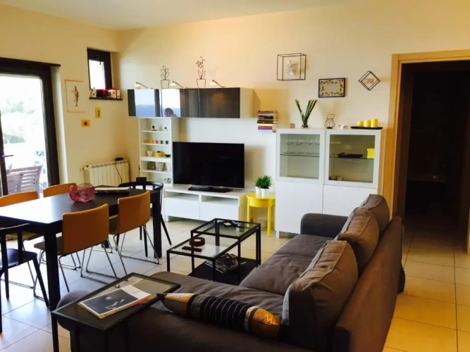Deluxe Apartment
