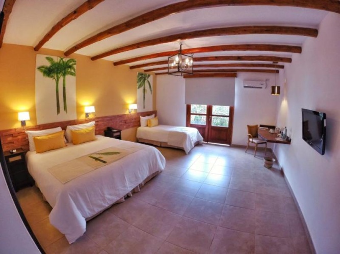 Standard Single room