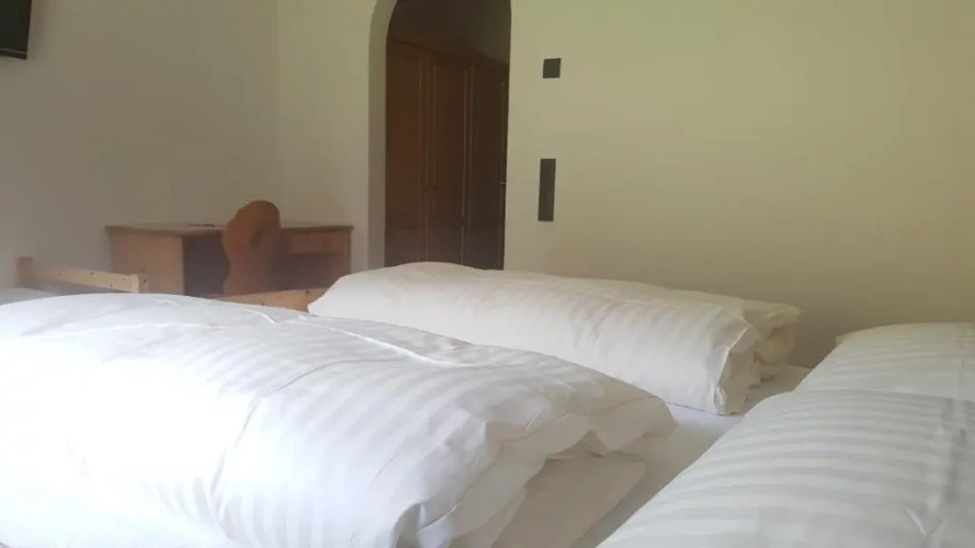 Standard Double room with mountain view