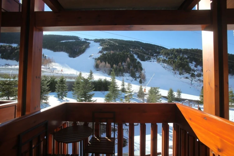 Standard Double room with balcony and with mountain view