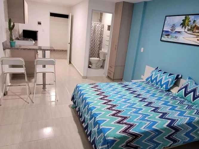 1 Bedroom Apartment