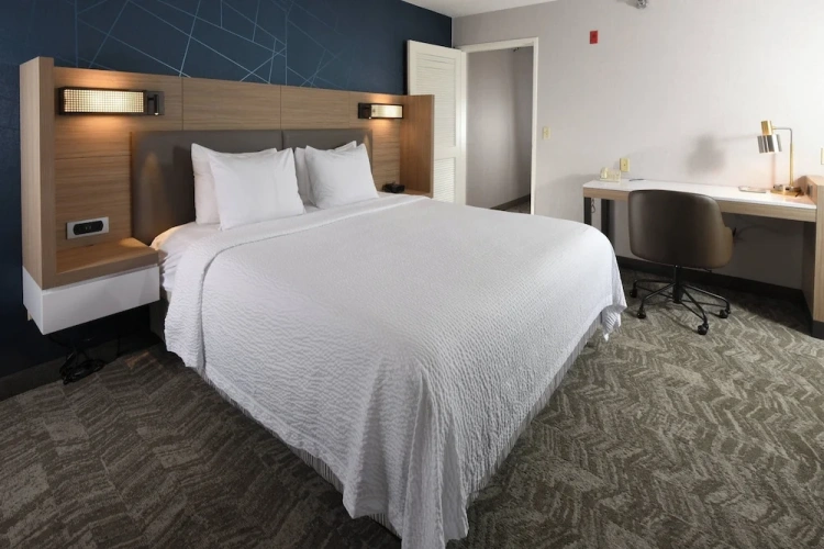 1 Bedroom Suite