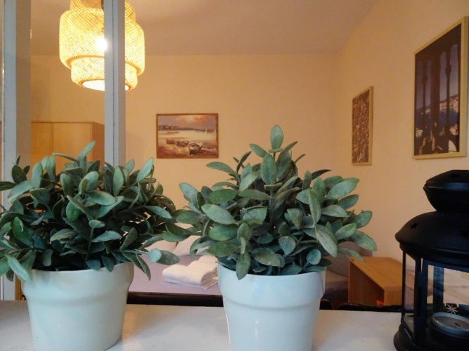 1 Bedroom Apartment with view