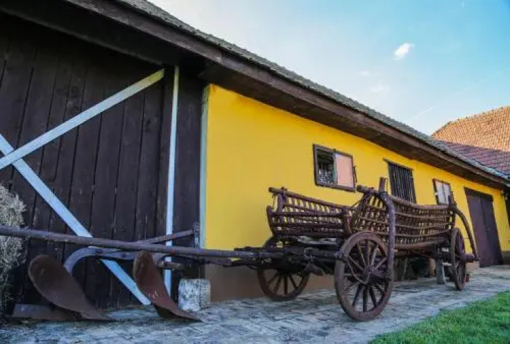Farm Stay Salas 302