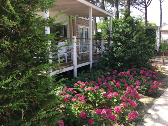 2 Bedrooms Chalet
