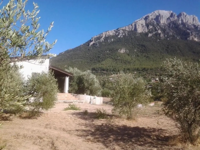 2 Bedrooms Cottage