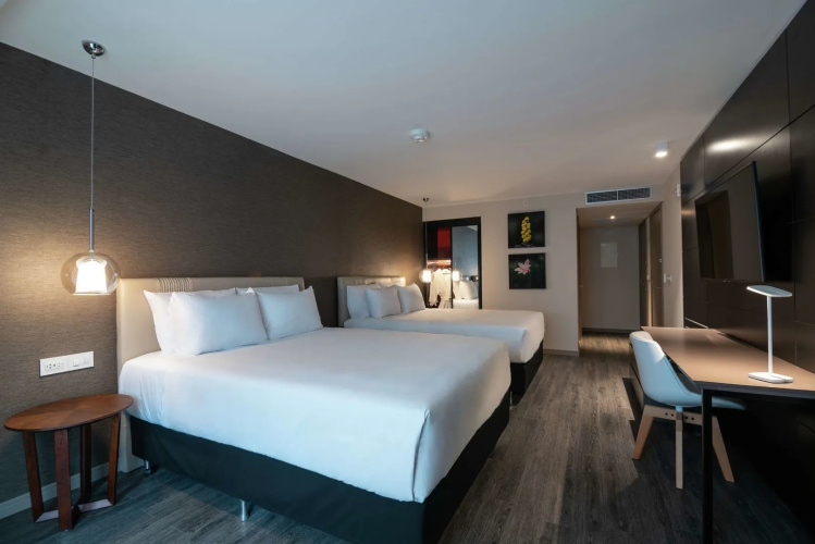 SORO Montevideo, Curio Collection by Hilton