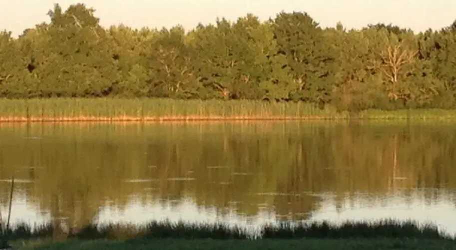 Etang Fourreau B&B