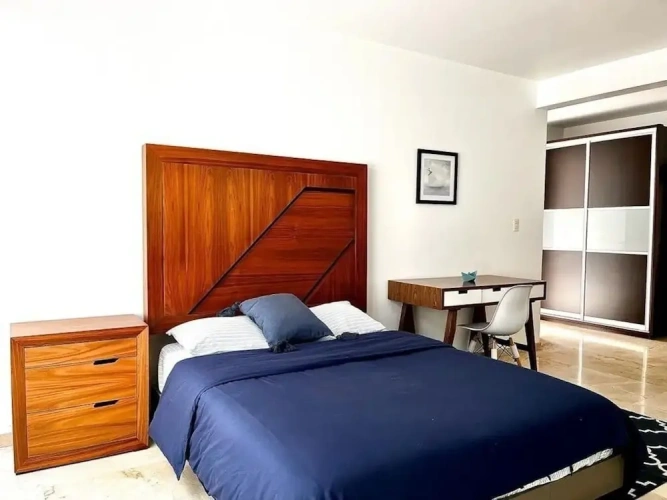 Luxury Apartment
