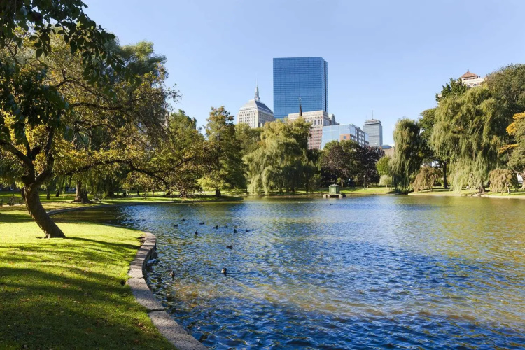 Fairmont Copley Plaza photo 19
