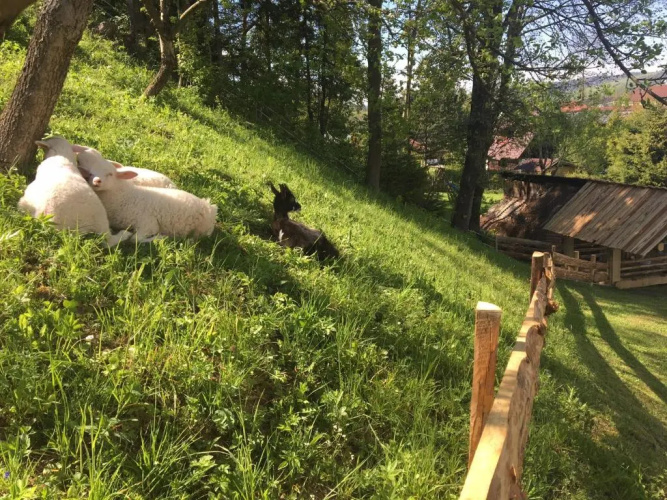 Chata Penzión Škerda