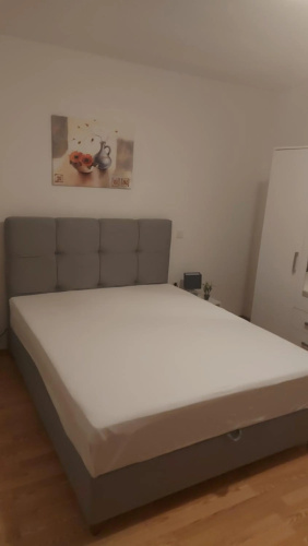 Apartman Sneky